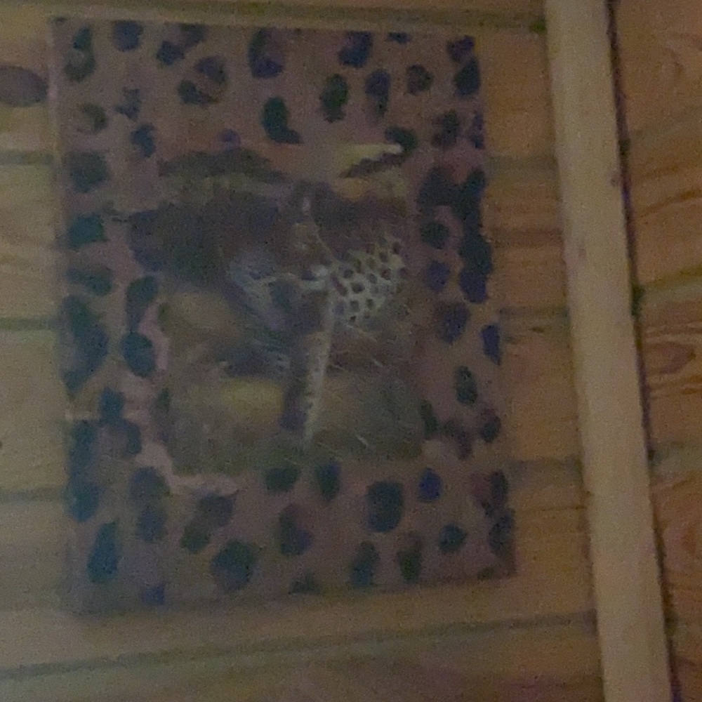 Safari - Picture 4 of 6